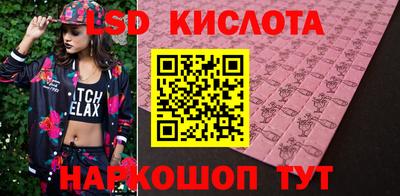 дмт Кингисепп