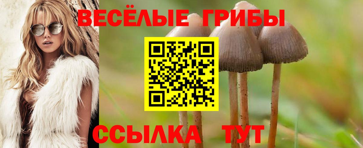 Галлюциногенные грибы мицелий  Вход с VPN  Шарыпово 